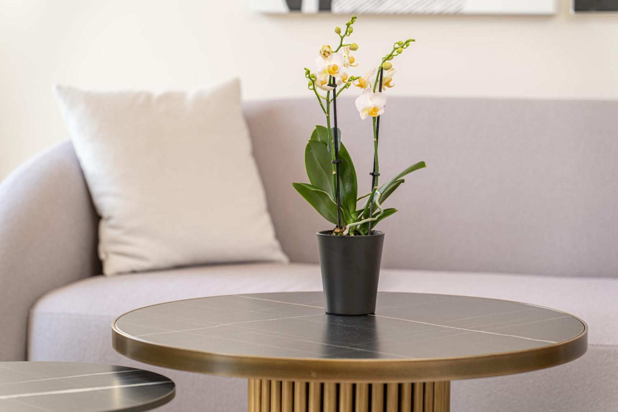Kantada Central Suite Аргостолион Екстериор снимка